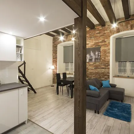 Loft Krakov
